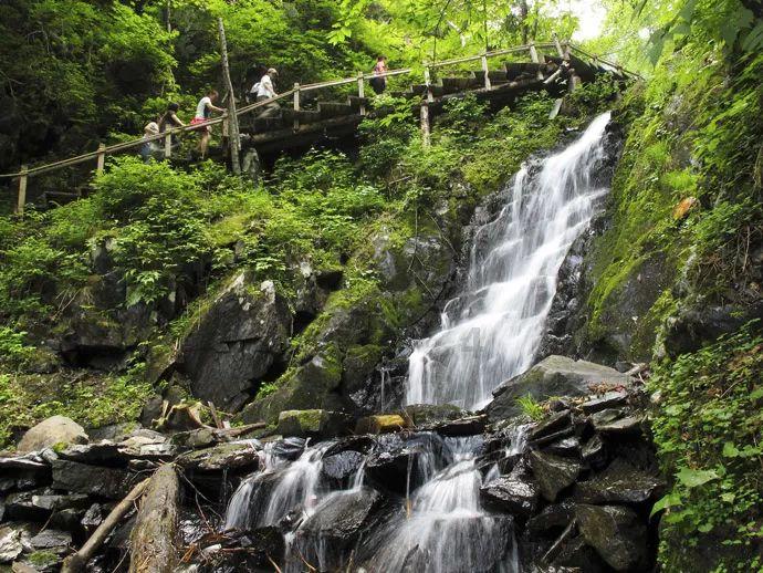 逃出奶油苹果屋